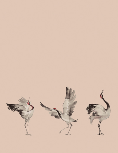 Marburger Tapete 63442 2,70 x 2,10 m Crush Motion DD 2025 verläng.2026